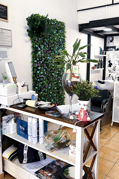 mostrador del centro de belleza con plantas